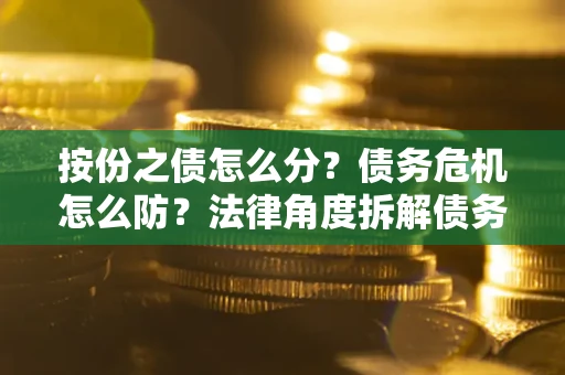 武汉按份之债怎么分？债务危机怎么防？法律角度拆解债务分配与风险自保指南