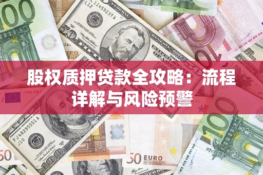 武汉股权质押贷款全攻略：流程详解与风险预警