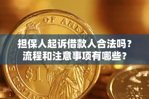 武汉担保人起诉借款人合法吗？流程和注意事项有哪些？
