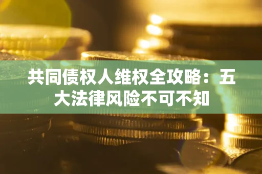 武汉共同债权人维权全攻略：五大法律风险不可不知