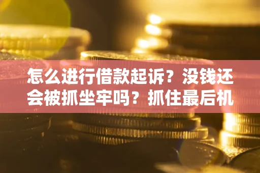 武汉怎么进行借款起诉？没钱还会被抓坐牢吗？抓住最后机会！