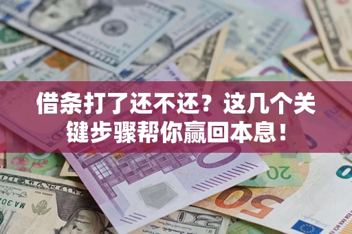 武汉借条打了还不还？这几个关键步骤帮你赢回本息！