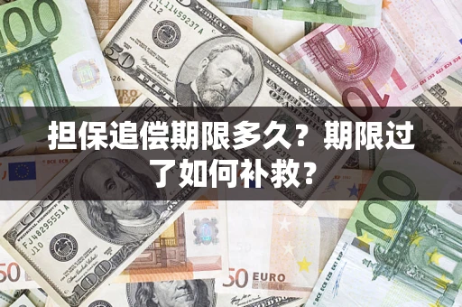 武汉担保追偿期限多久？期限过了如何补救？