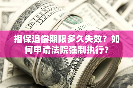 武汉担保追偿期限多久失效？如何申请法院强制执行？