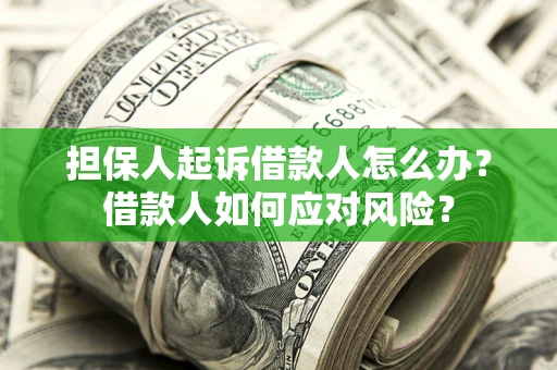 武汉担保人起诉借款人怎么办？借款人如何应对风险？