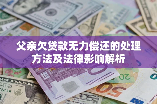 武汉父亲欠贷款无力偿还的处理方法及法律影响解析